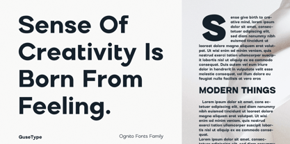 Ognico Font Poster 14