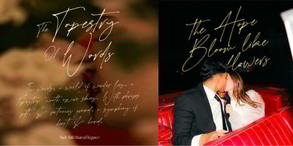 Ethareal Elegance Font Poster 8