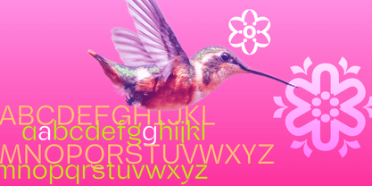 DP Pitahaya Font Poster 11