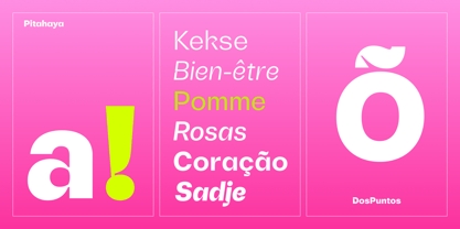 DP Pitahaya Font Poster 5