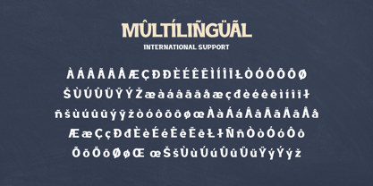 Magire Font Poster 6