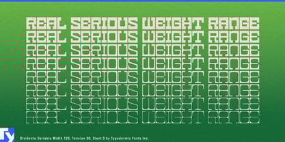 Dividente Variable Font Poster 5