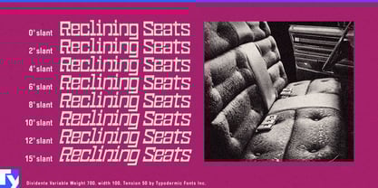 Dividente Variable Font Poster 6