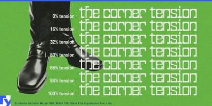 Dividente Variable Font Poster 3