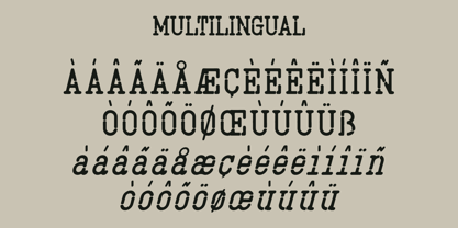 Djoeko Font Poster 5