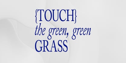 Alvito Nova Comp Font Poster 8