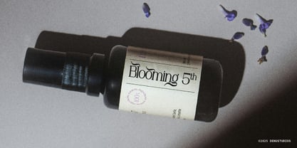 Celifto Legion Font Poster 9