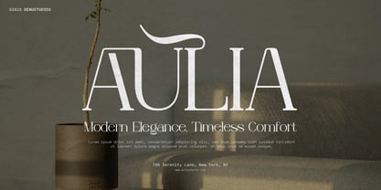 Celifto Legion Font Poster 6