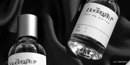 Celifto Legion Font Poster 7