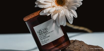 Celifto Legion Font Poster 8