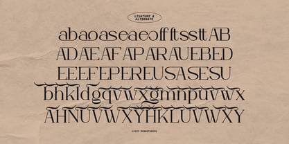 Celifto Legion Font Poster 12