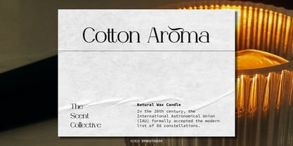 Celifto Legion Font Poster 4