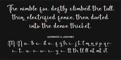 CF Fonten Modern Font Poster 7