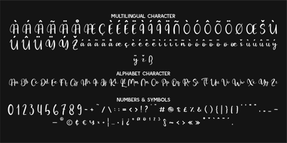 CF Fonten Modern Font Poster 4