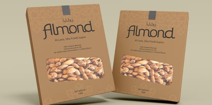 Layalina Font Poster 3