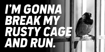 Stomme Font Poster 2