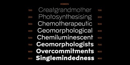 Hebden Recut Font Poster 3