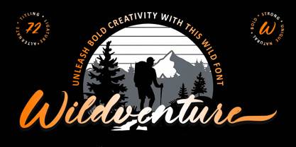 Wildventure Font Poster 1