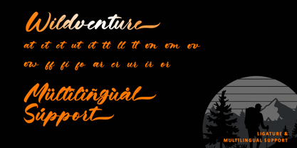Wildventure Font Poster 9