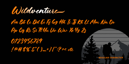 Wildventure Font Poster 7