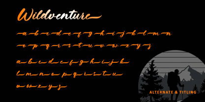 Wildventure Font Poster 8