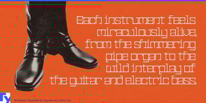 Dividente Font Poster 4