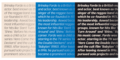 Venlury Font Poster 13