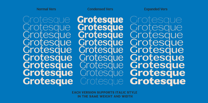 Venlury Font Poster 4