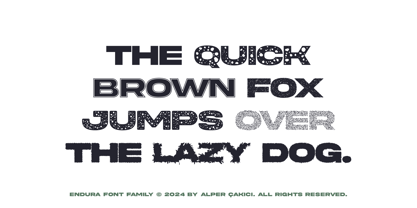 Endura Font Poster 2