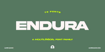 Endura Font Poster 12