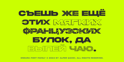 Endura Font Poster 7