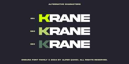 Endura Font Poster 9