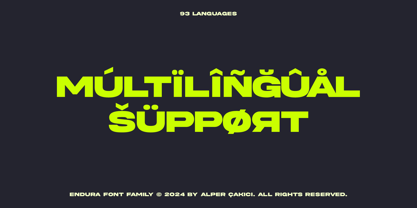 Endura Font Poster 3