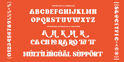 Tomoe Font Poster 11