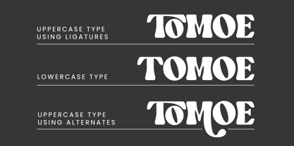 Tomoe Font Poster 2
