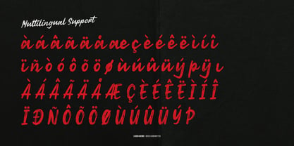 Losien Avenue Font Poster 11