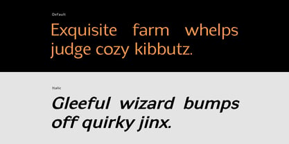 Neuhade Font Poster 6