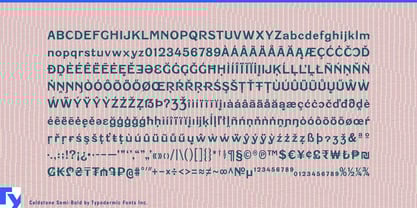 Caldstone Font Poster 7
