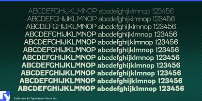 Caldstone Font Poster 3