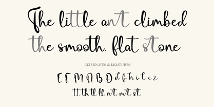 CF Myselle Solisto Font Poster 4