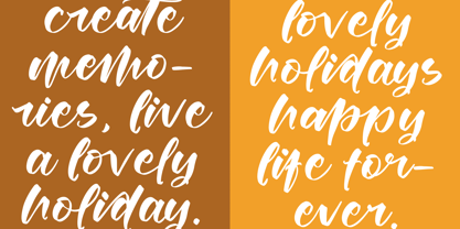 Joyland Delight Font Poster 4