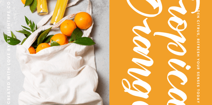 Joyland Delight Font Poster 13