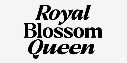 Callum Text Font Poster 2