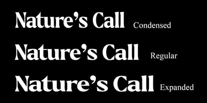 Callum Text Font Poster 6