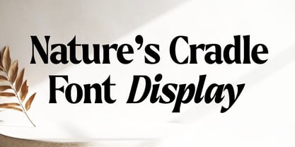 Callum Text Font Poster 7