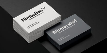 Bleur Neue Font Poster 14