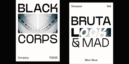 Bleur Neue Font Poster 9