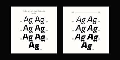 Bleur Neue Font Poster 2