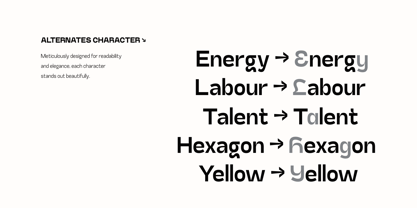 Bleur Neue Font Poster 13