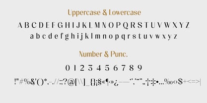 Meladishya Font Poster 6